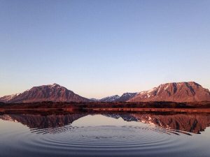 Create Ripples Daily