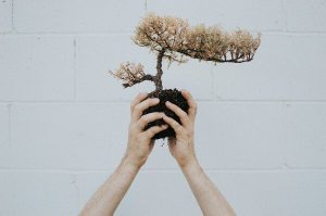 That Thing In Your Hand