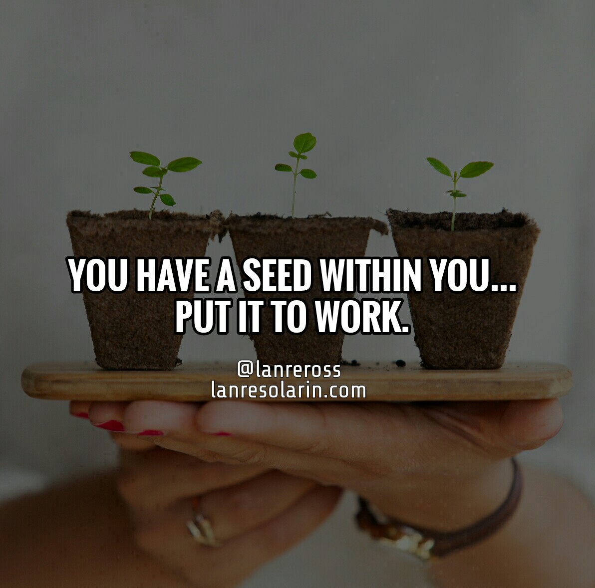 Use Your Seed